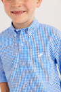 Dean's List Dress Shirt - Sunrise Blvd Blue Mini Gingham with Worth Avenue White Stork