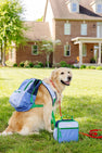 Leighton Lunch Box - Beale Street Blue, Barbados Blue, Nantucket Navy & Kiawah Kelly Green