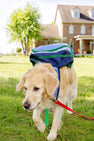 Don't Forget Your Backpack - Beale Street Blue, Barbados Blue, Nantucket Navy & Kiawah Kelly Green