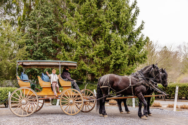 Van Camp Vest - Palmetto Pearl Sherpa with Buckhead Blue & Grantley Gray Stork