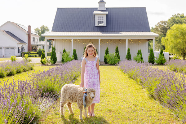 Macie Midi Dress - Lavender and Lambs with Beale Street Blue
