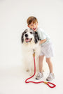 Sheffield Shorts - Grantley Gray Mini Gingham with Park City Periwinkle Stork