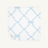 Baby Buggy Blanket - Buckhead Blue Belle Meade Bow with Worth Avenue White