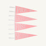Back to School Pennants - Hamptons Hot Pink
