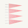 Back to School Pennants - Hamptons Hot Pink