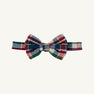 Baylor Bowtie - Gramercy Park Plaid Seersucker