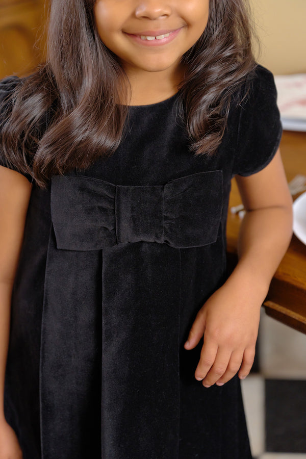 Darcy Dress (Velveteen) - Newport Night