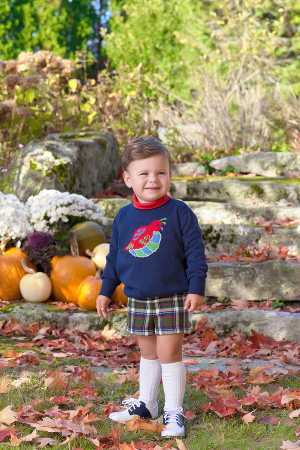 Isaac's Intarsia Sweater - Nantucket Navy with Quail Intarsia