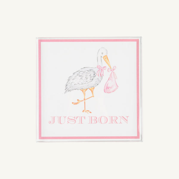 Sir Proper's Month Markers - Palm Beach Pink