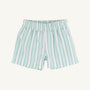 Sheffield Shorts - Tally Rd. Ticking Stripe with Green Stork