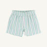 Sheffield Shorts - Tally Rd. Ticking Stripe with Green Stork