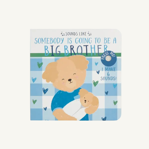 Sounds Like Big Brother - Mudpie