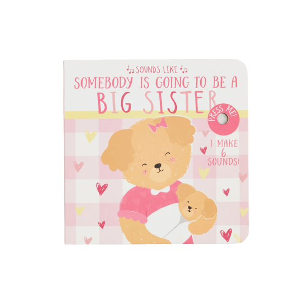 Sounds Like Big Sister - Mudpie