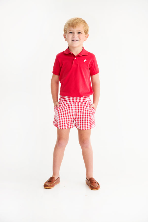 Sheffield Shorts - Richmond Red Gingham with Belhaven Blue Stork