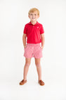 Sheffield Shorts - Richmond Red Gingham with Belhaven Blue Stork