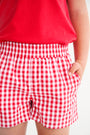 Sheffield Shorts - Richmond Red Gingham with Belhaven Blue Stork