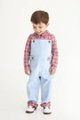 Teddy's Tab Longall - Barrington Blue with Woodspoint Plaid