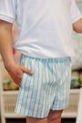 Sheffield Shorts - Tally Rd. Ticking Stripe with Green Stork