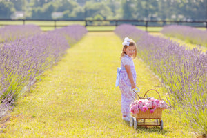 Maude's Peter Pan Collar Shirt & Onesie (Long Sleeve Pima) Palm Beach Pink | Beaufort Bonnet main image 1