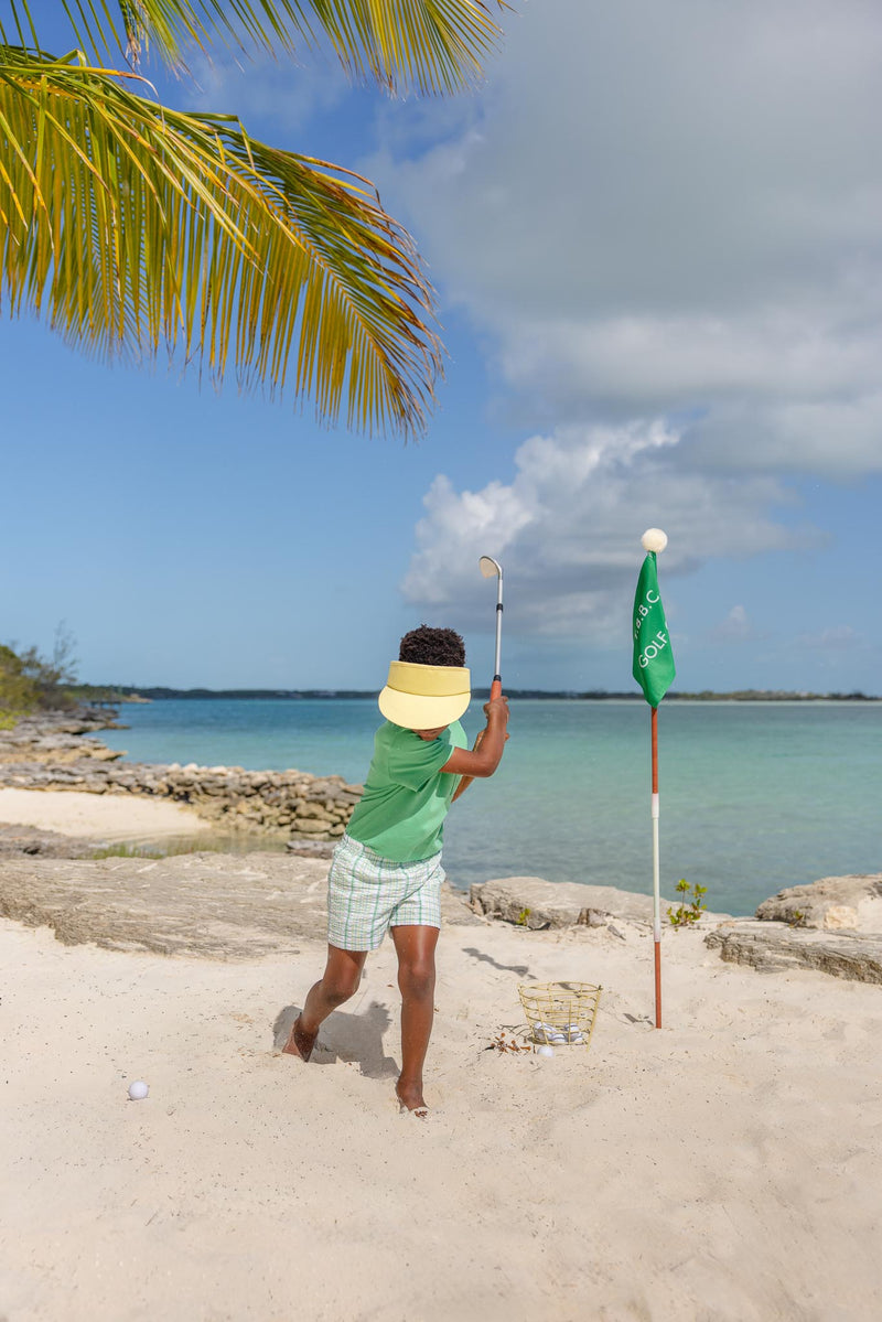 Sheffield Shorts - Gibson Island Green & Lake Worth Yellow Sewanee Seersucker with Gibson Island Green Stork
