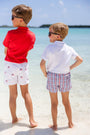 Sheffield Shorts - Pierce Mill Plaid Seersucker with Nantucket Navy Stork