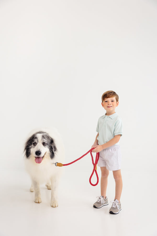 Sheffield Shorts - Grantley Gray Mini Gingham with Park City Periwinkle Stork