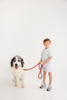 Sheffield Shorts - Grantley Gray Mini Gingham with Park City Periwinkle Stork
