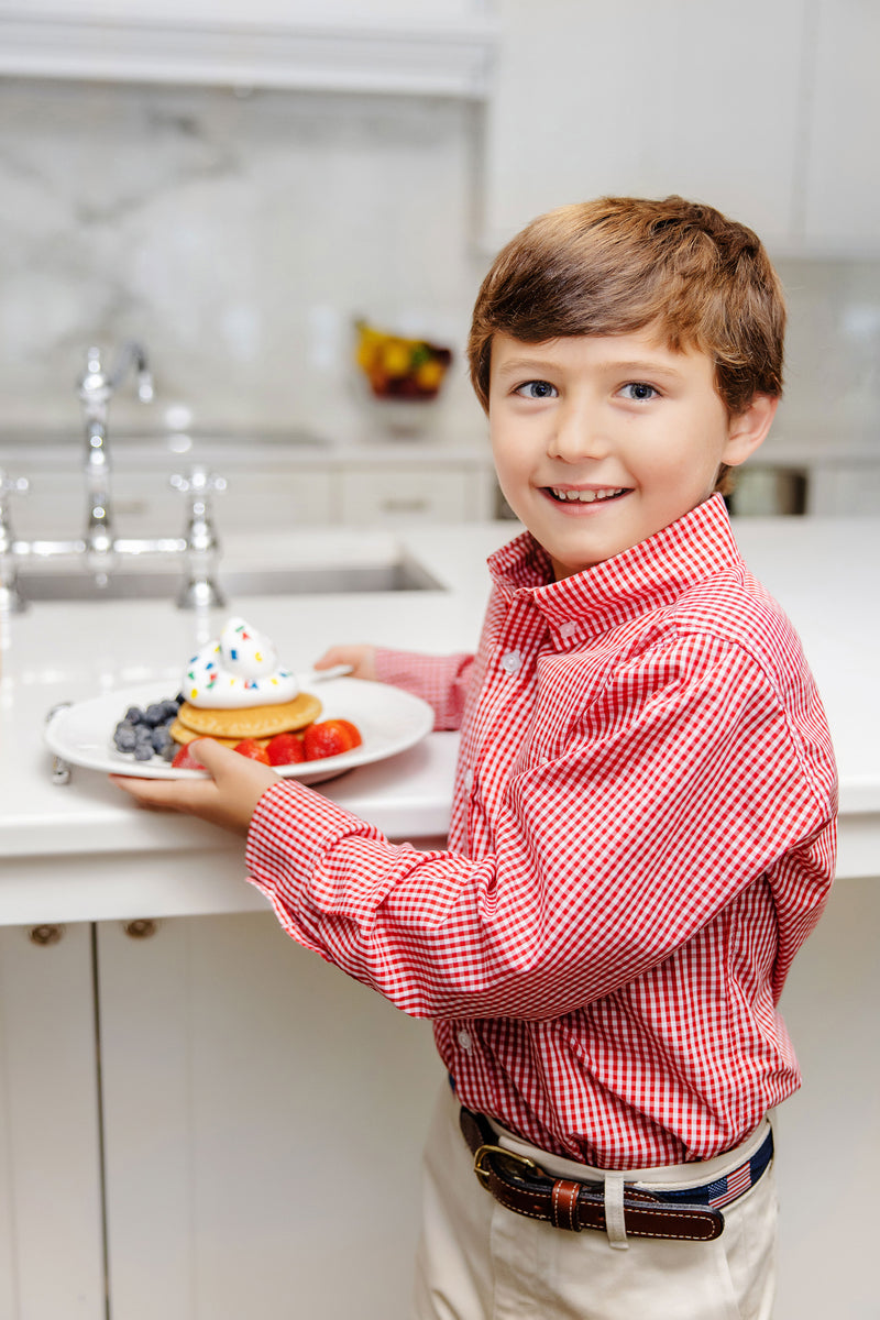 Dean's List Dress Shirt - Richmond Red Mini Gingham with Worth Avenue White Stork