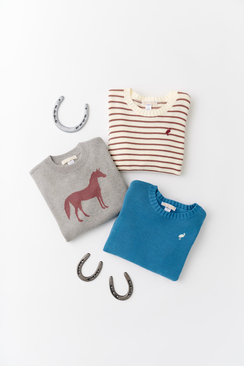 Isaac's Sweater - Barnsley Blue with Palmetto Pearl Stork