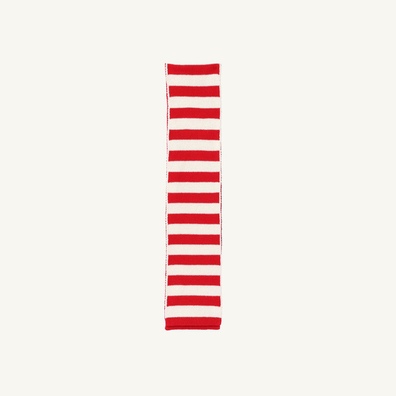 A Seller’s Scarf in Richmond Red & Palmetto Pearl Stripe by The Beaufort Bonnet Company, featuring long, horizontal red and white stripes, is laid flat on a plain white background.