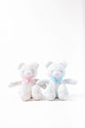Bradley Bear - Sir Proper's Sweet Arrival (Hamptons Hot Pink)
