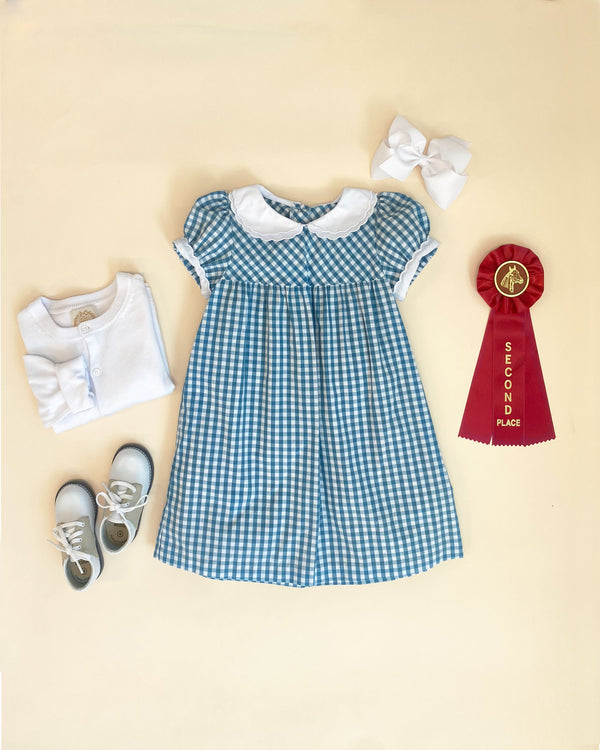 Holly Day Dress - Barnsley Blue Gingham with Worth Avenue White