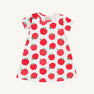 Polly Play Dress - Ardsley Park Apple